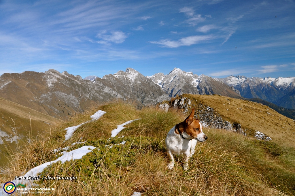 60 Il fedele compagno di ogni giorno - foto Fulvio.jpg